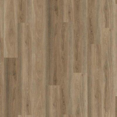 Provincial Oak