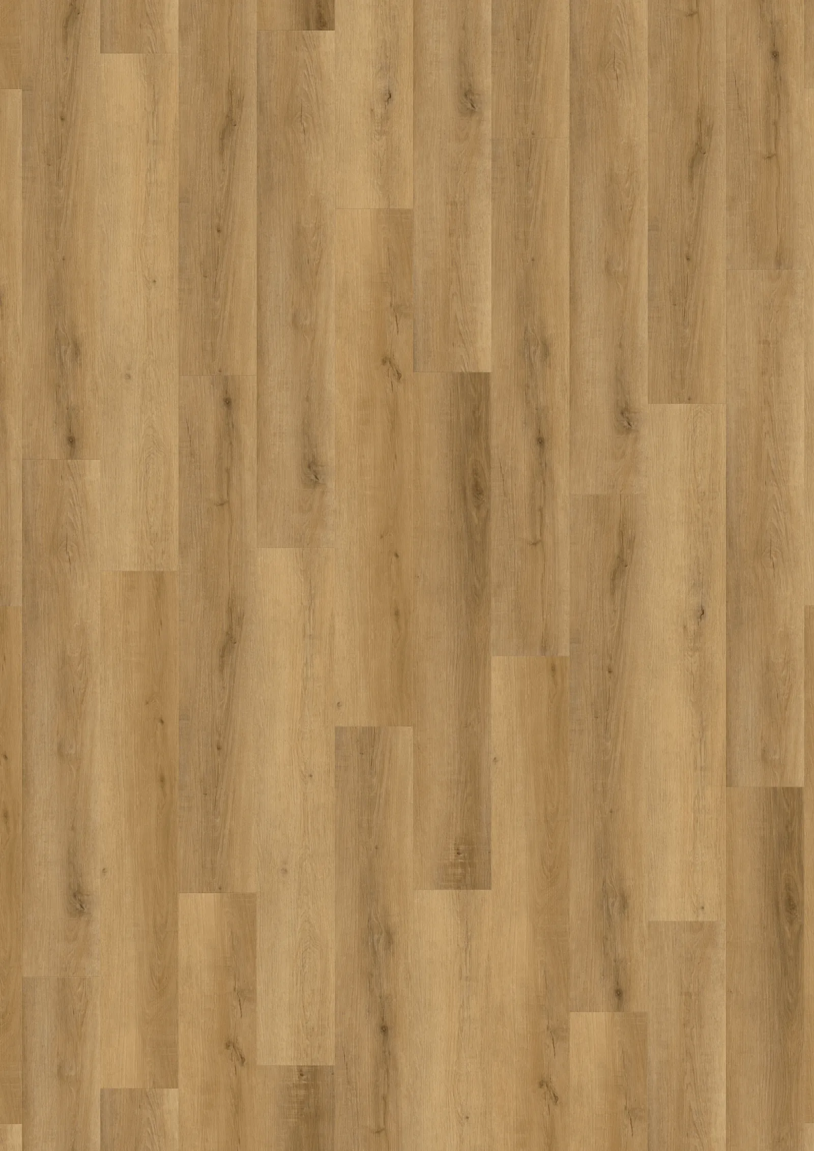 LVT-vinilna-talna-obloga-ECOLINE55-Harmony-Oak-E3557-tloris