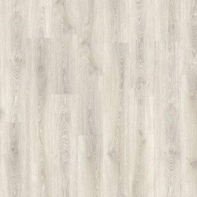Emory Oak 22147