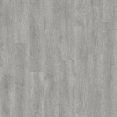 Silverleaf Oak 22938