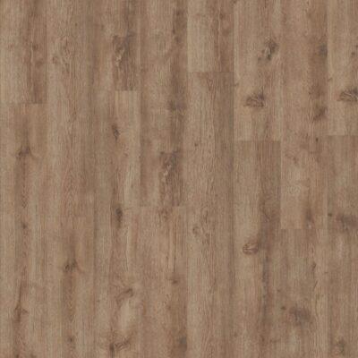Origin 30 - Limber Oak 24279